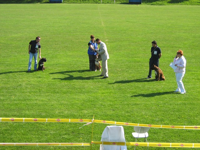 www.atibox.net * www.euroboxer.eu * www.boxergenealogia.eu